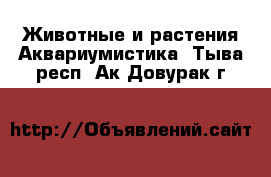 Животные и растения Аквариумистика. Тыва респ.,Ак-Довурак г.